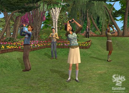 The Sims 2: FreeTime, The Sims Wiki