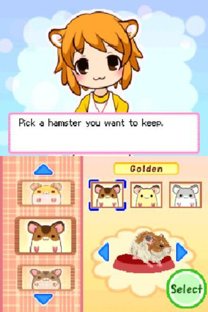 DS / DSi - Hamsterz Life - Hamster Profile Icons - The Spriters