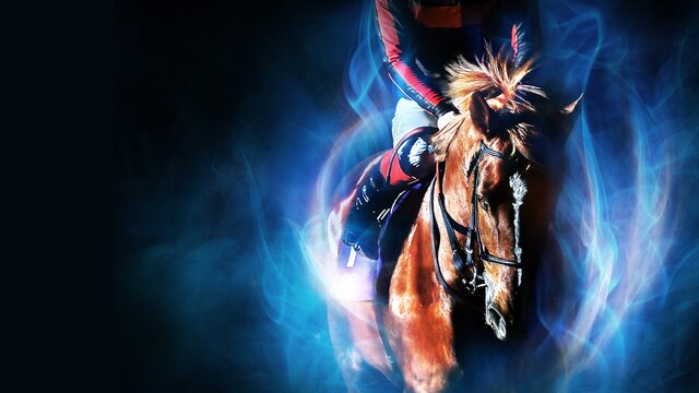 Winning Post 10 2024 - release date, videos, screenshots