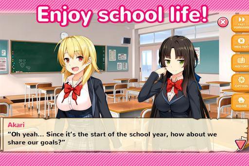 Moe! Ninja Girls: Visual Novel - release date, videos, screenshots