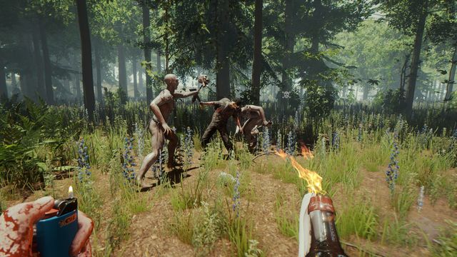 The Forest screenshot The Forest screenshot