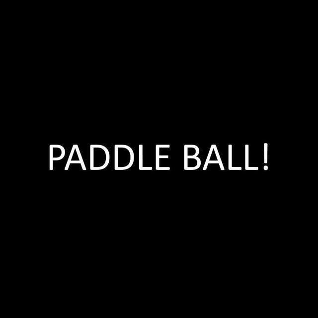 Paddle Ball! - release date, videos, screenshots, reviews on RAWG