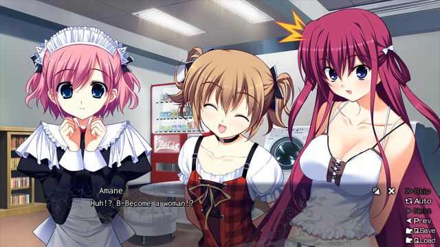 The Labyrinth of Grisaia review - Tech-Gaming