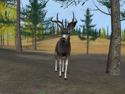 deer hunter 2005 demo download free