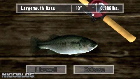 Games like SEGA Bass Fishing • Games similar to SEGA Bass Fishing • RAWG