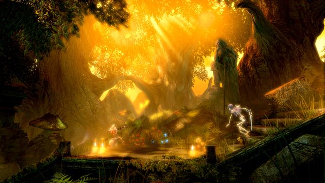 trine 2 couch co op