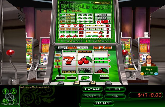  Hoyle Casino Games 2012 [Mac Download] : Video Games