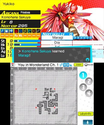 Persona Q: Shadow of the Labyrinth