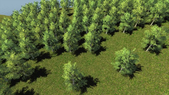Trials of Wilderness screenshot Trials of Wilderness screenshot