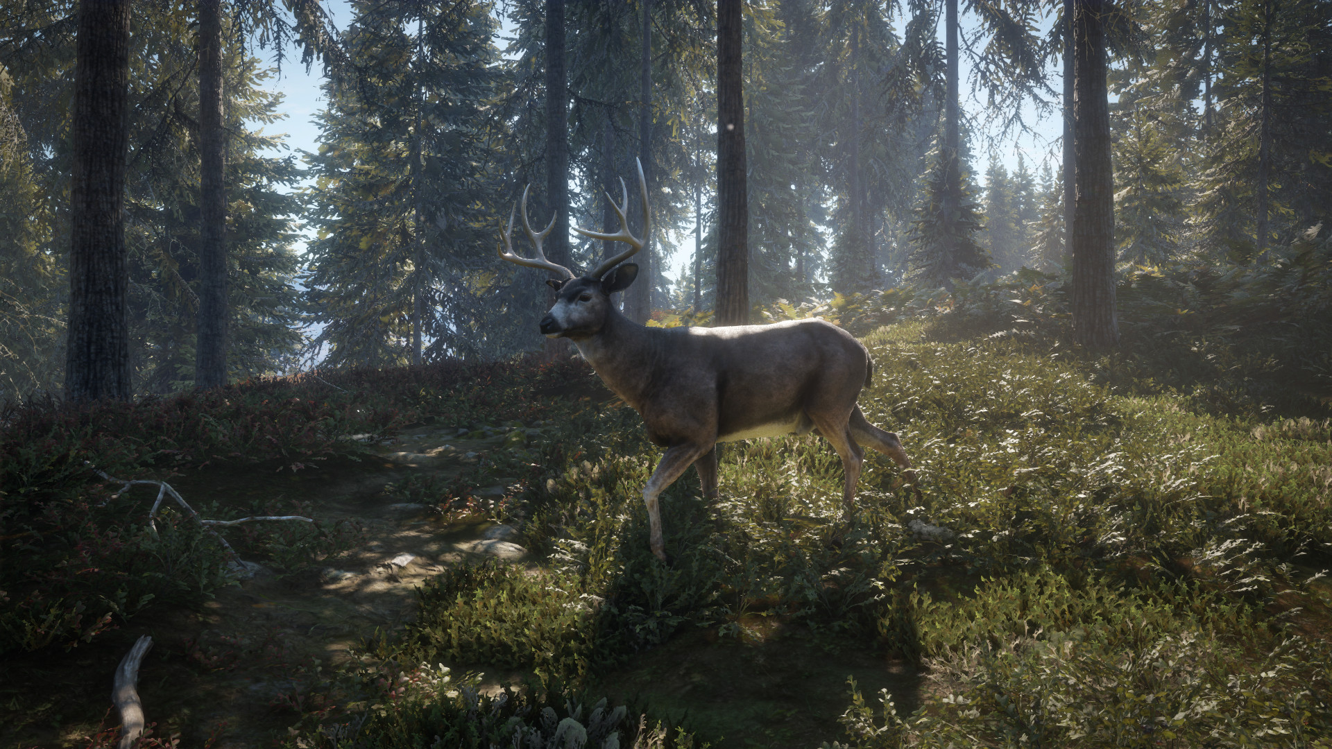 thehunter call of the wild pc requirements