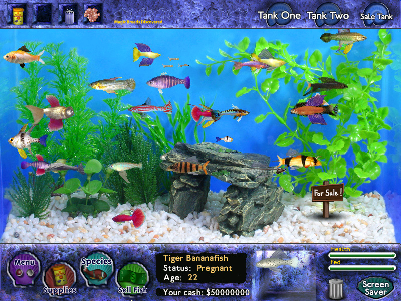 Fish Tycoon gameplay visual