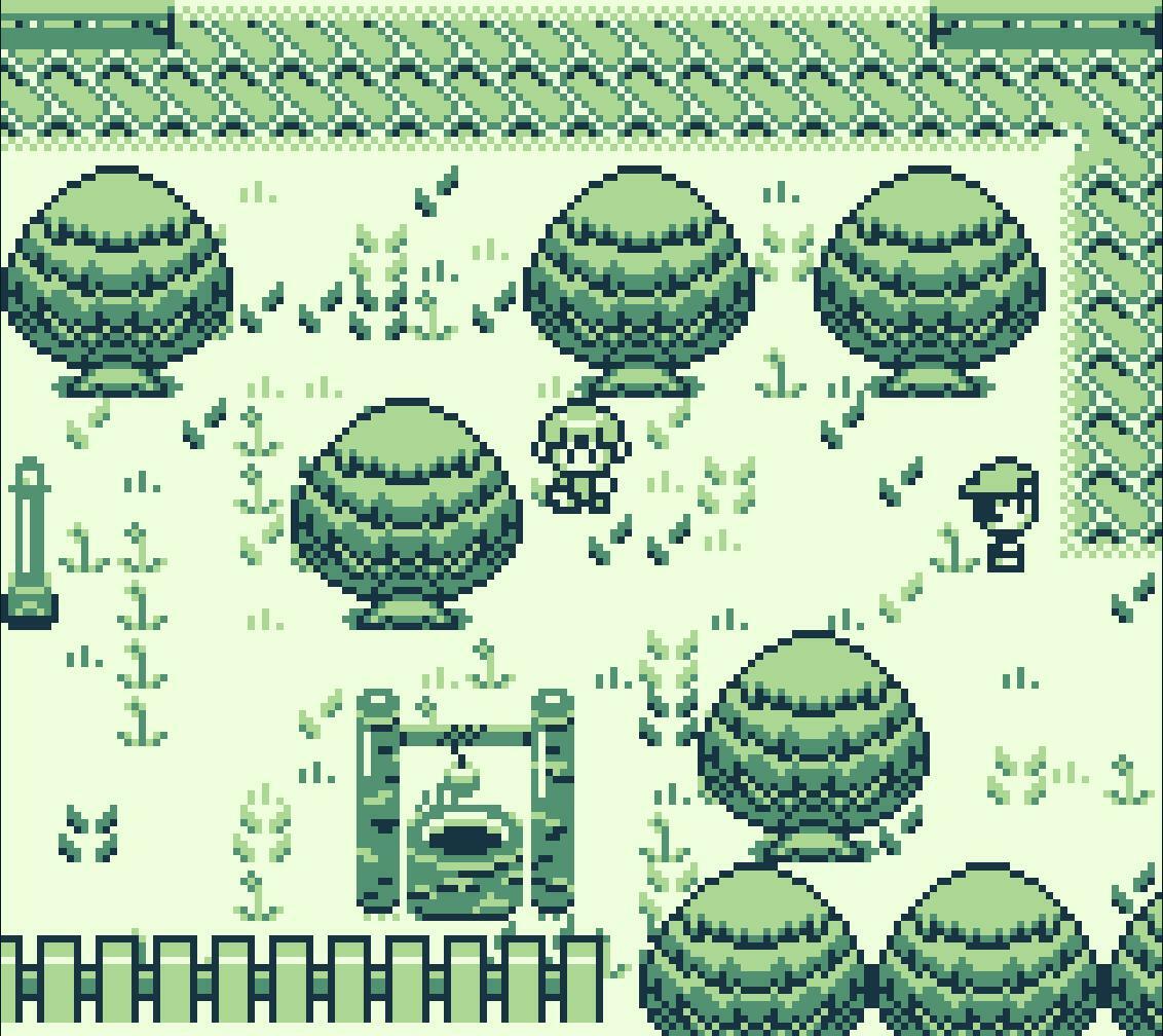 Kong Cartel Kilimanjaro: the Collectening