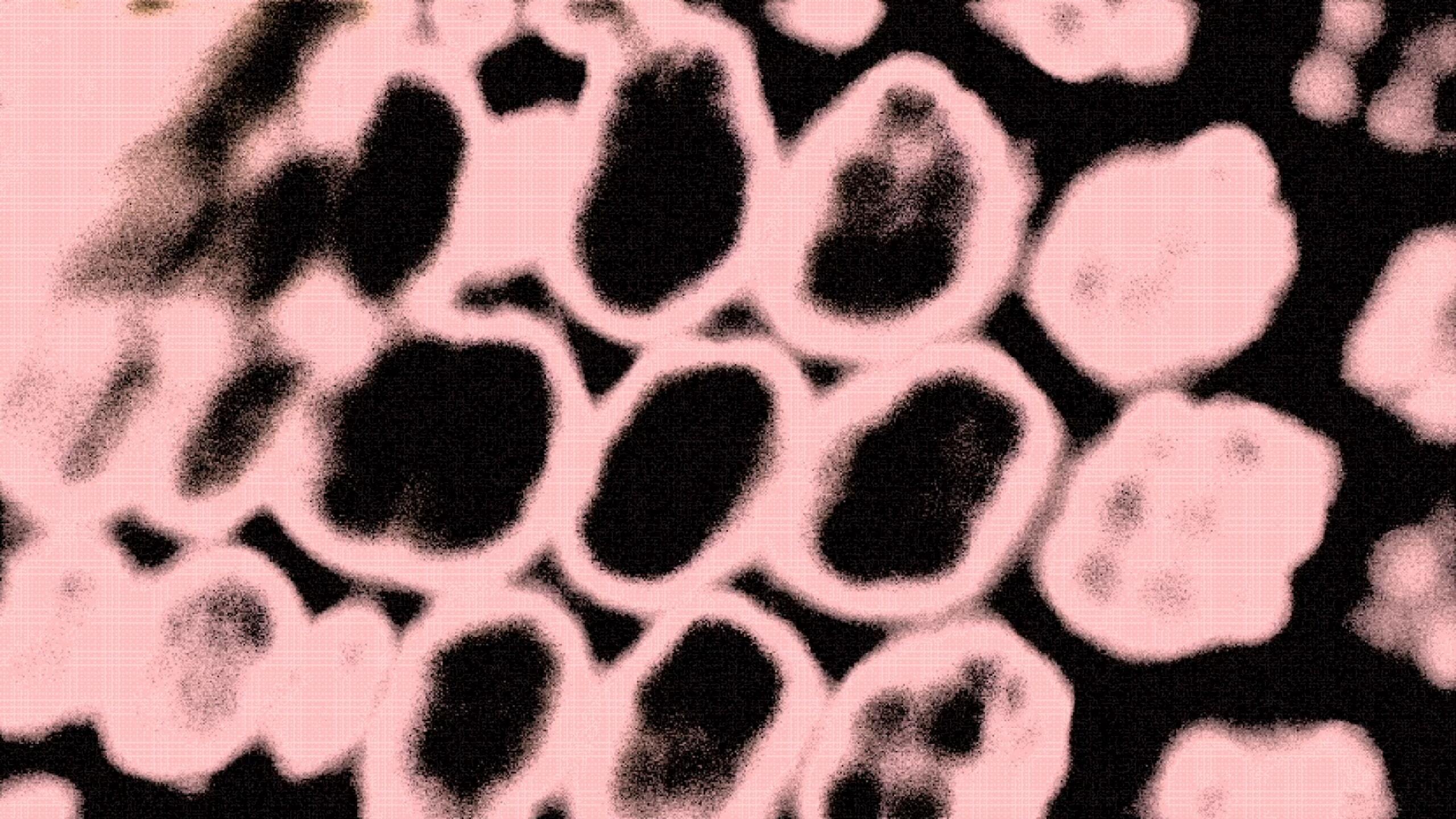 Fall (I Fell in Love with my Avatar)