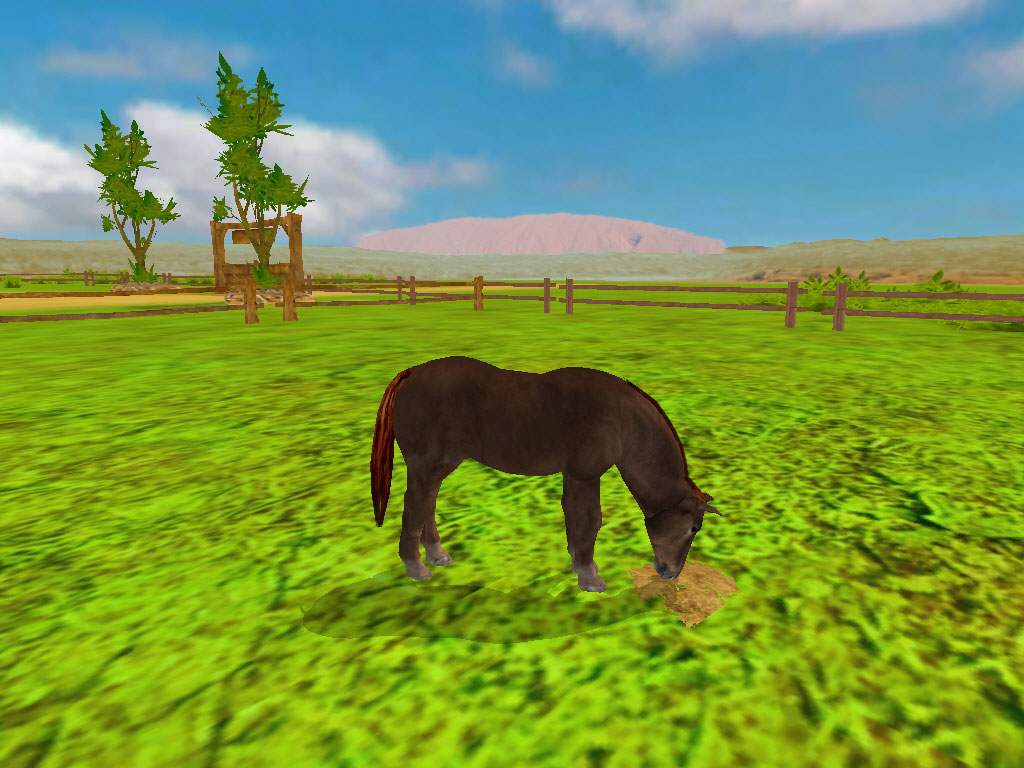 Paws & Claws: Pet Vet - Australian Adventures