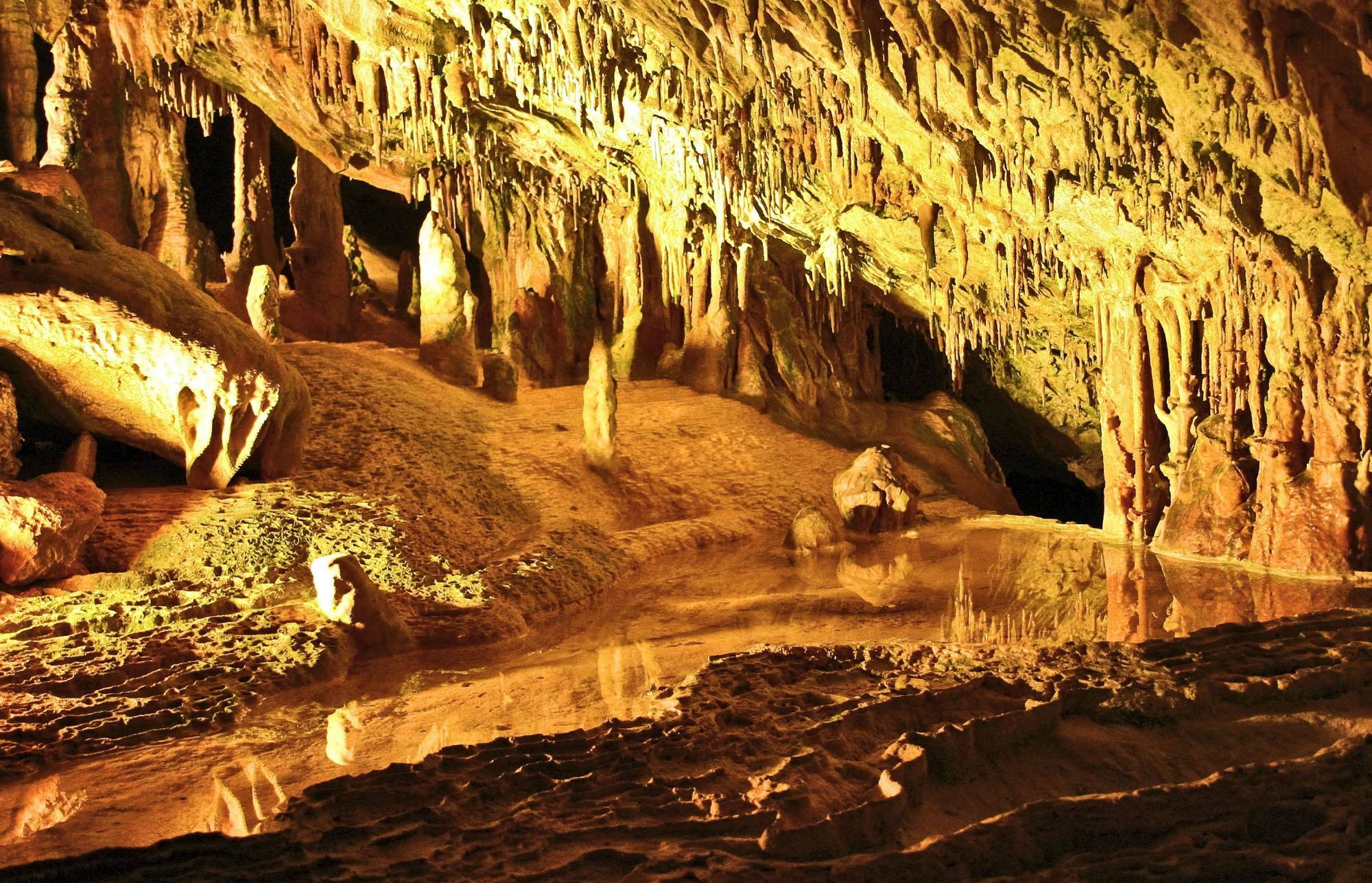 Skele-ton has ton-s of work to get revenge(Detaylar Kısmını Okumadan geçme)