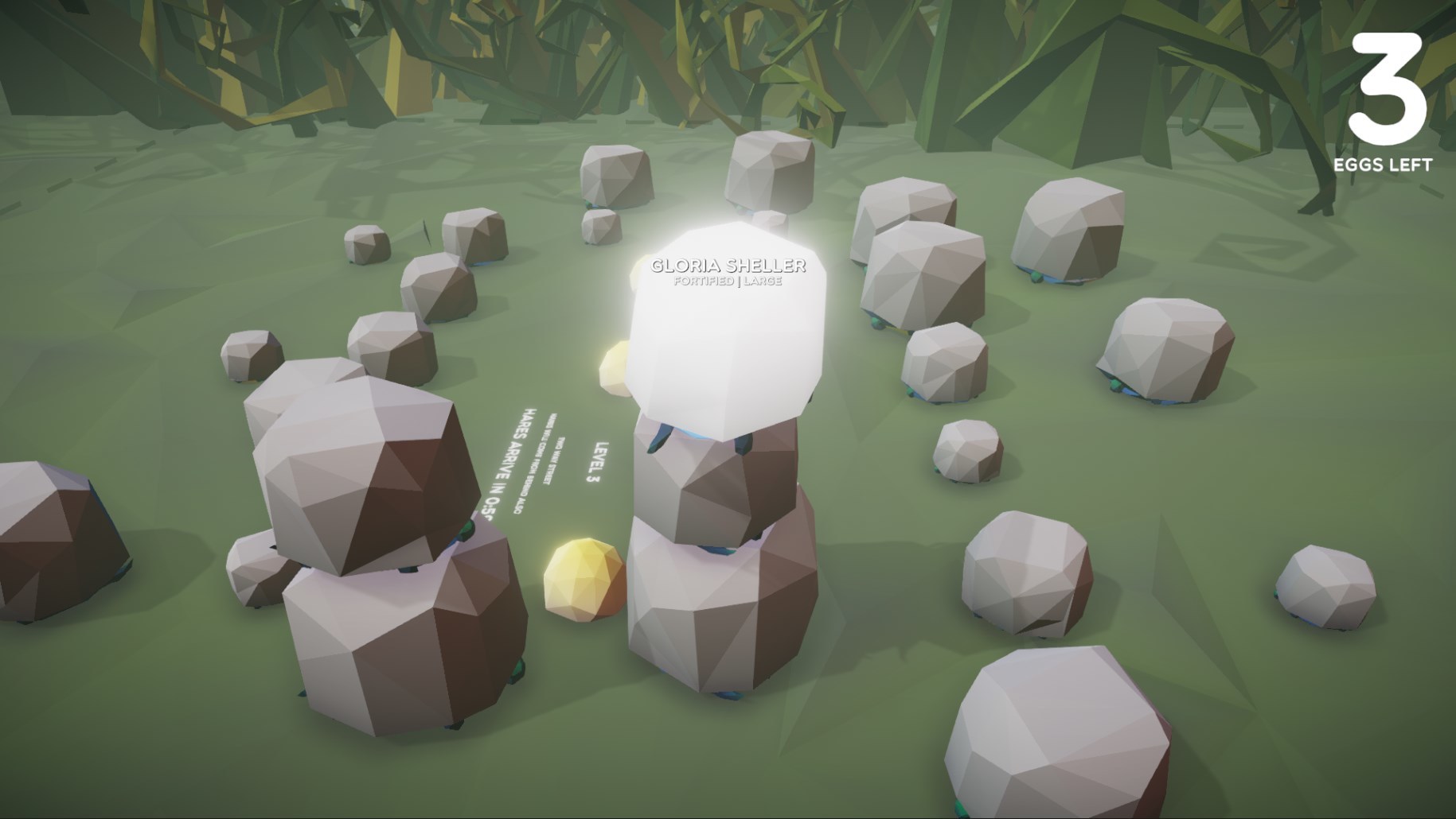 Tortoise Solidarity Block