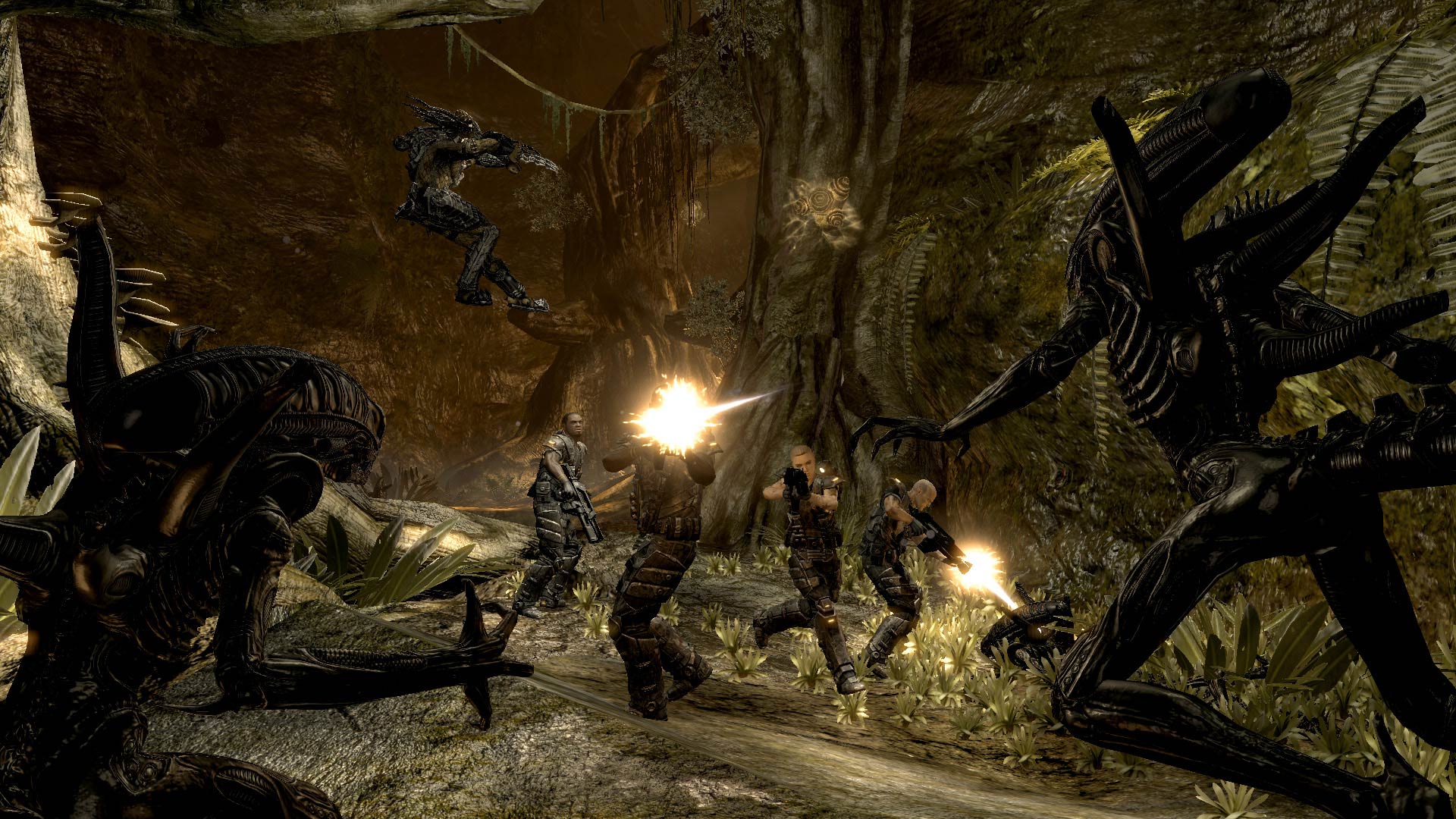 Aliens vs. Predator (2010)