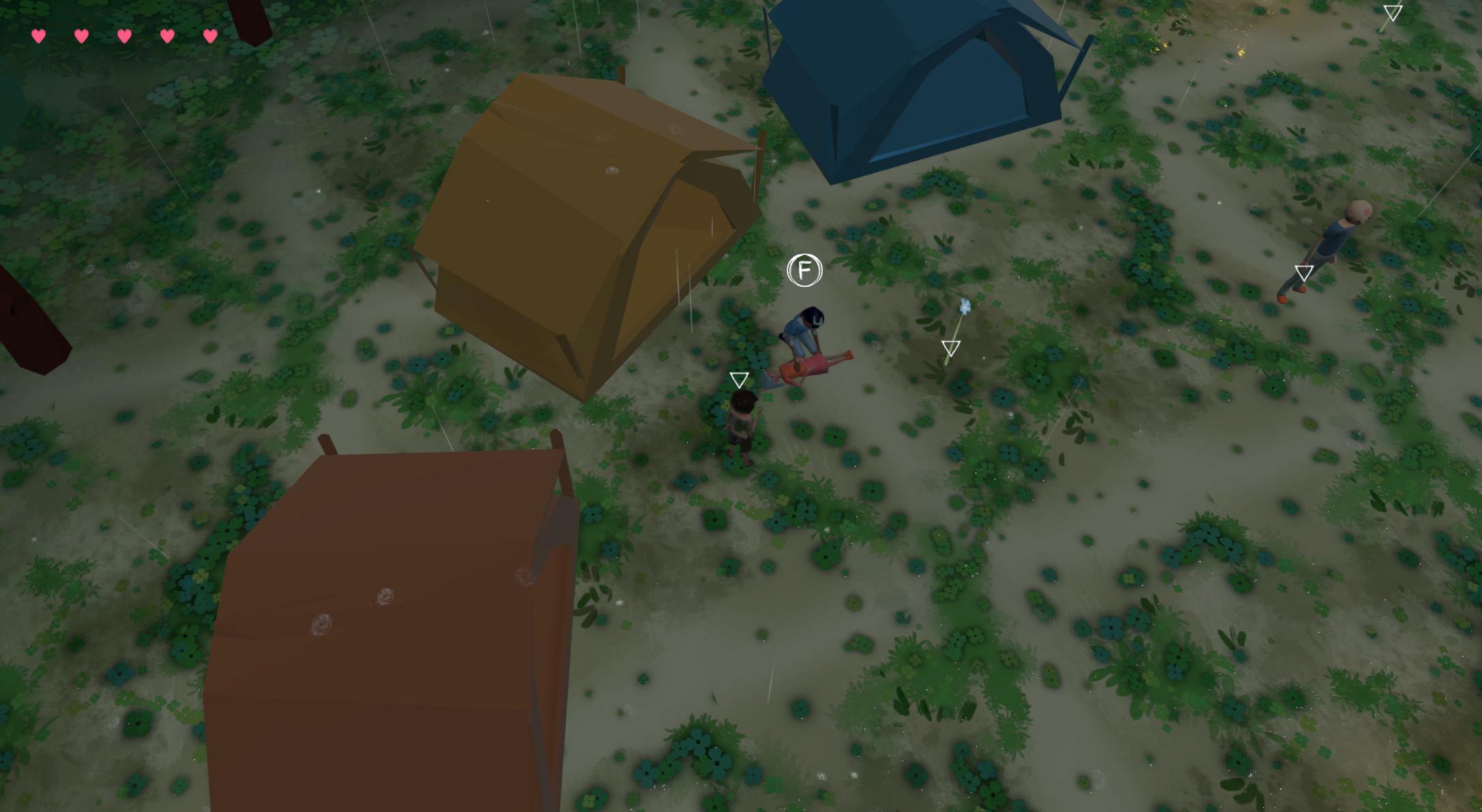 Come see the meteor shower