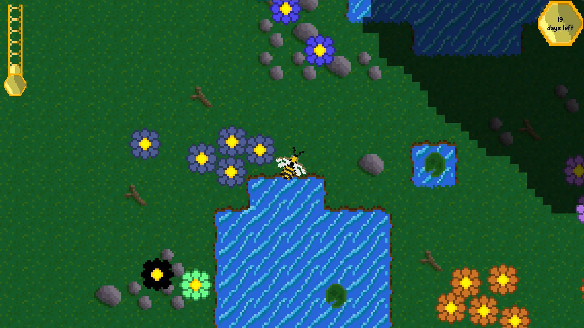 Could There Bee More