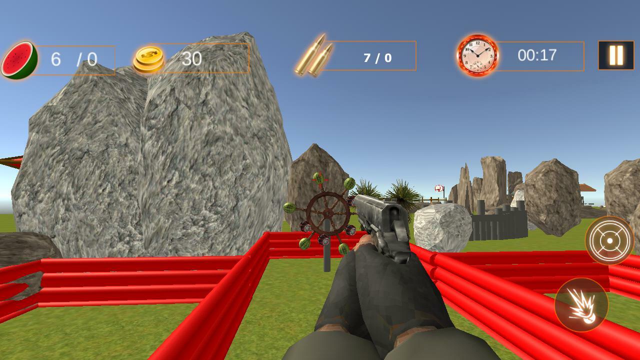 Expert Target Shooting