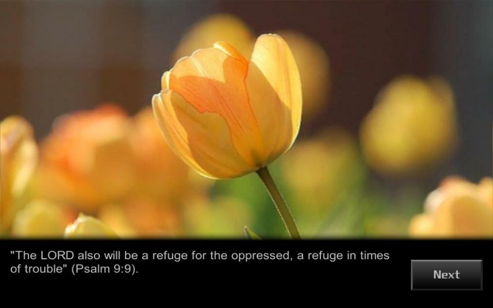 SUPPORT IN TROUBLE slideshow