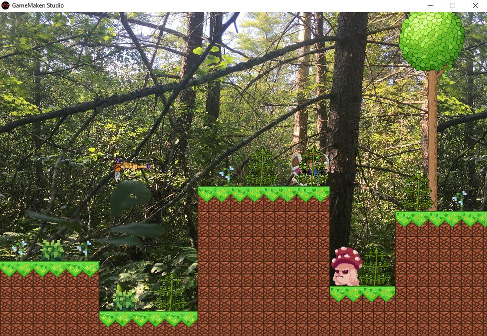 The Heliotrope Chronicles Book 1