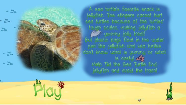 Tiki the Sea Turtle