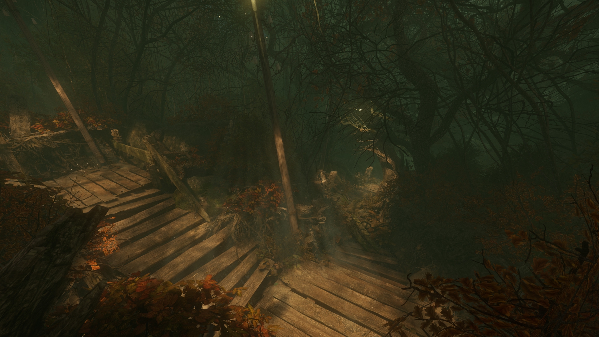 Image 104682