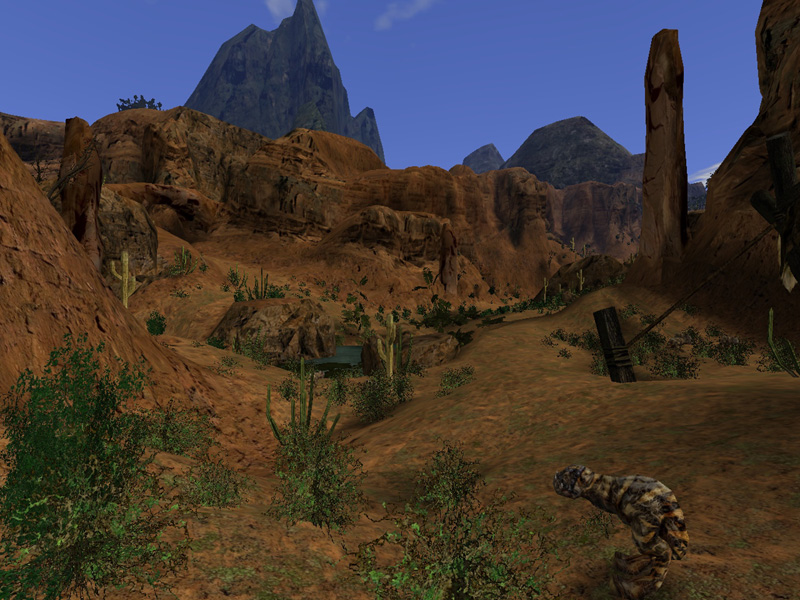Image 371178