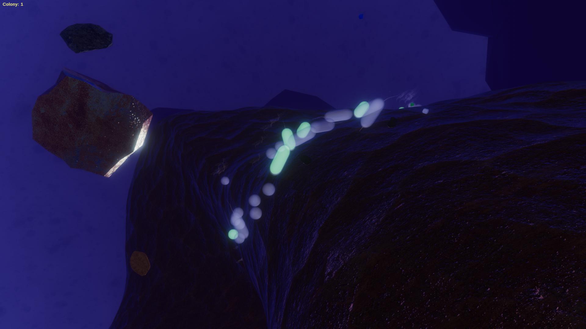 Image 3539132
