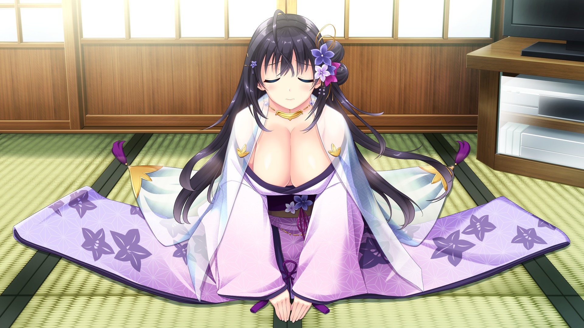 Image 1667013