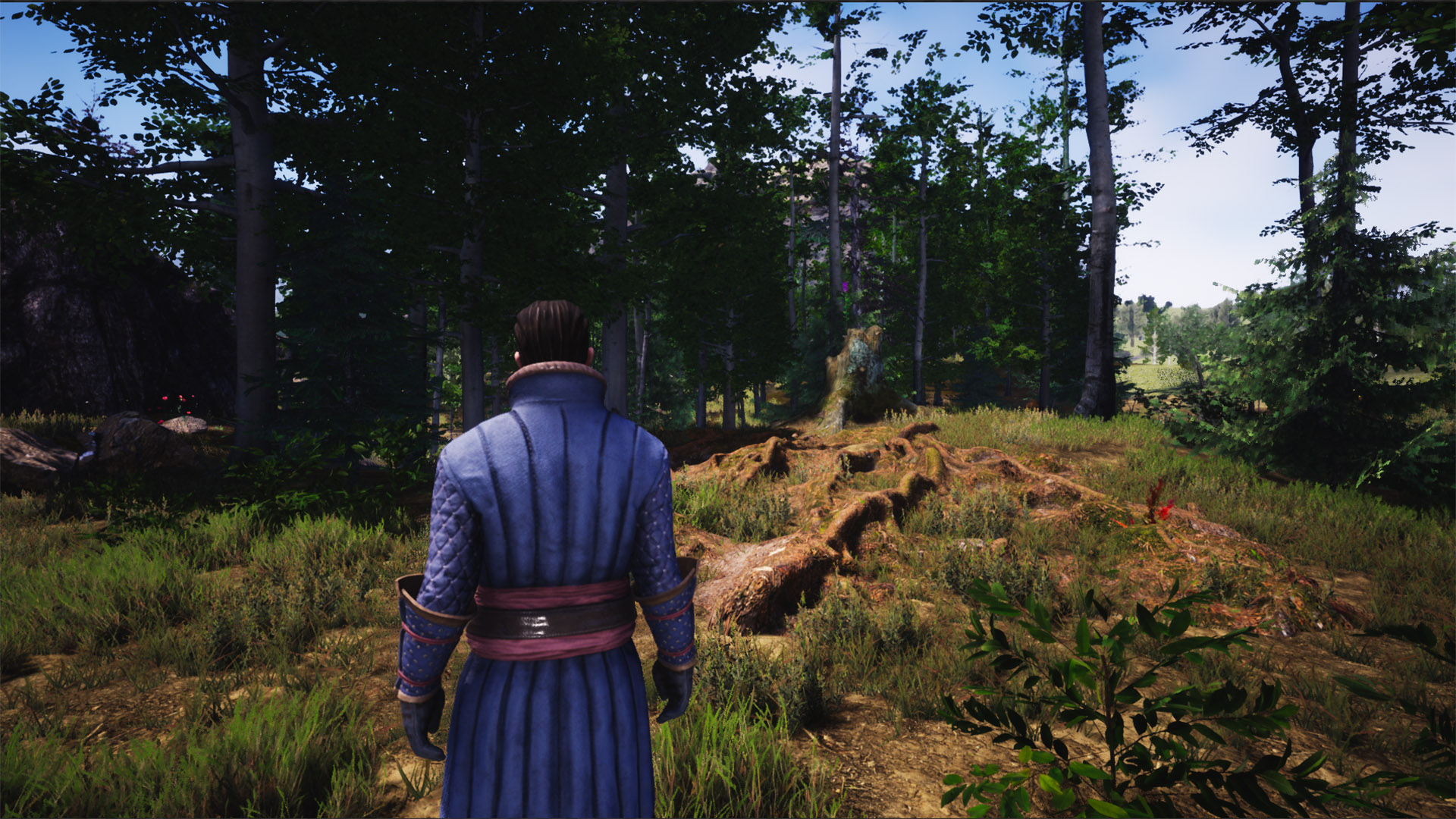 Image 2303045