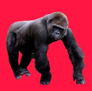 Flying Gorilla PC (beta)