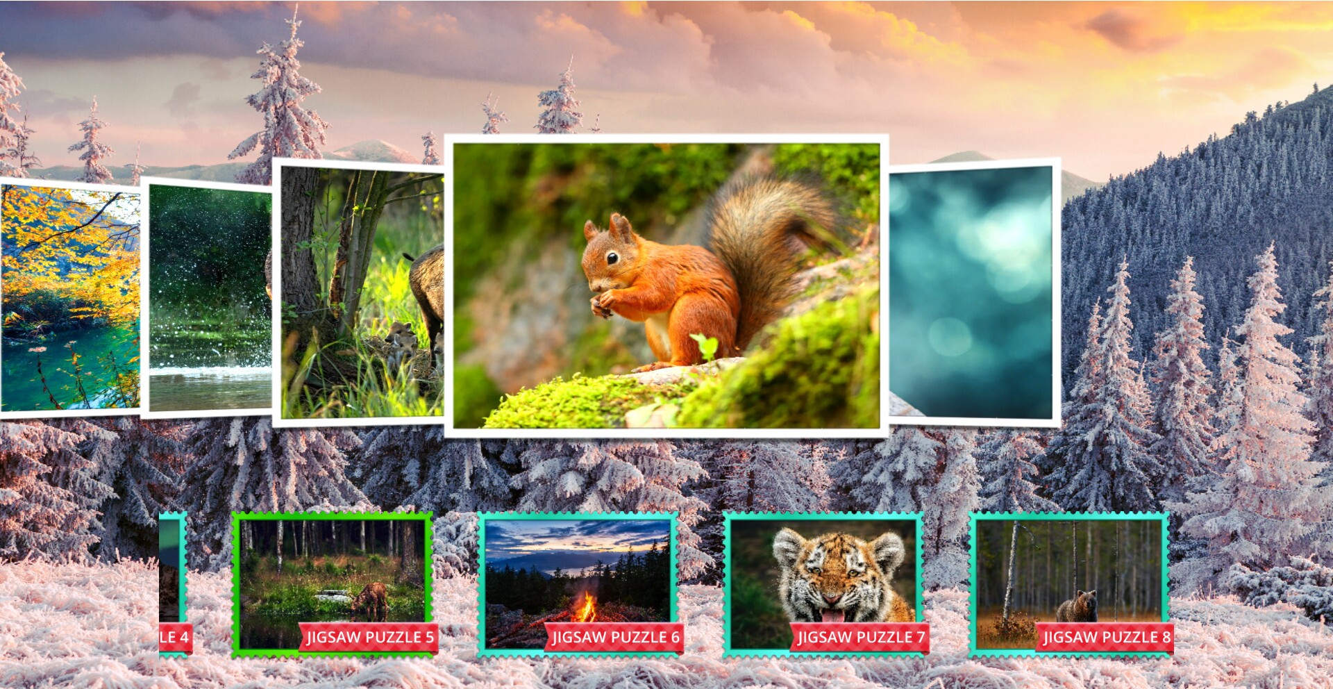 Nature & Wildlife - Jigsaw Puzzle