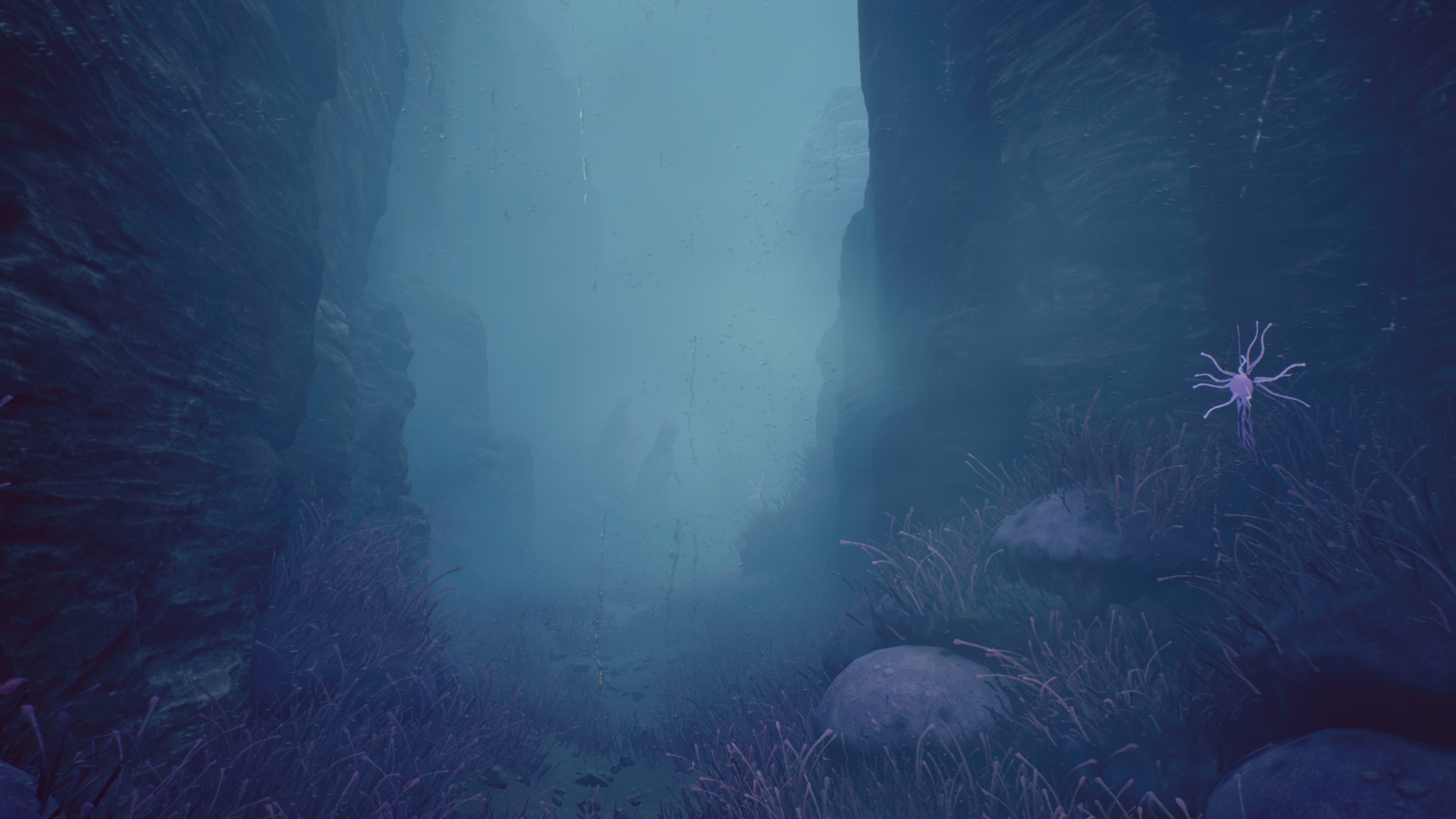 A Planet in the Fog (RUBIKA)