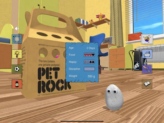 Pet Rock screenshot