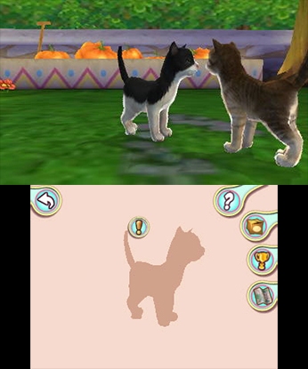 I Love My Cats