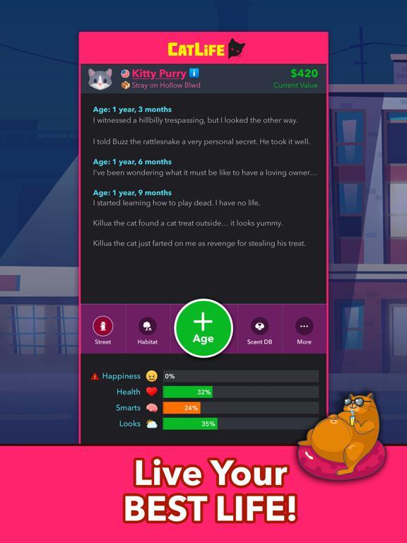 CatLife - BitLife Cat Game gameplay visual