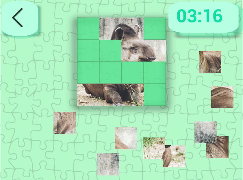 Ultimate Puzzles Animals 5
