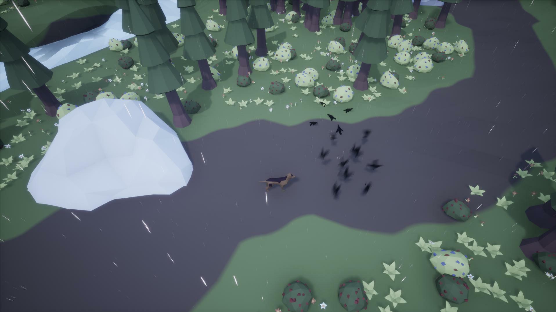 Lost Dog (smallcluster)