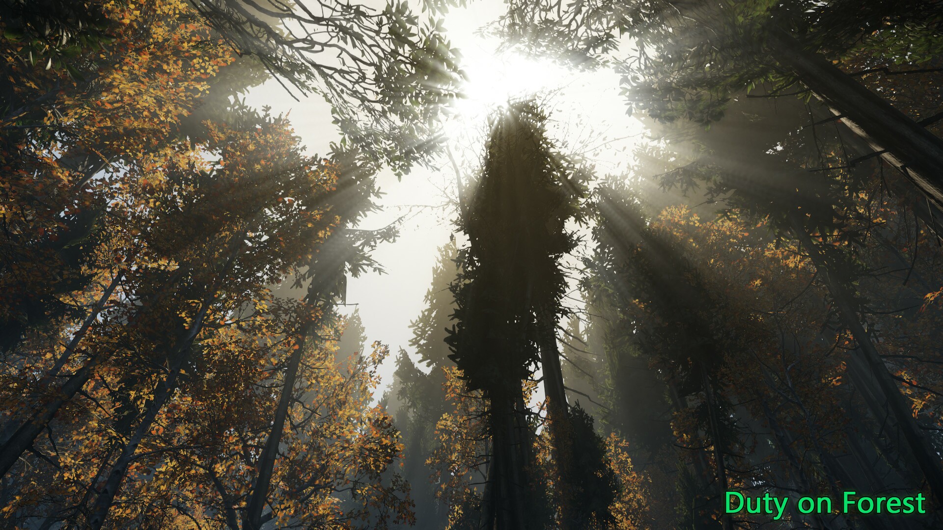 скачать the forest на русском no steam фото 117