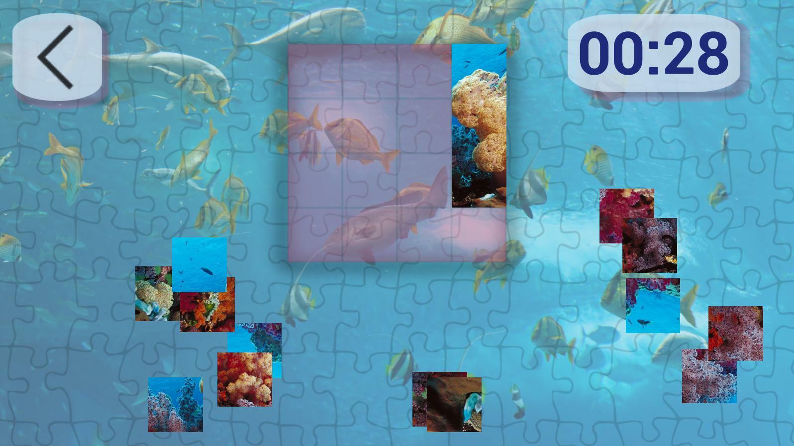 Ultimate Puzzles Marine Life 2