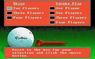screenshot of game