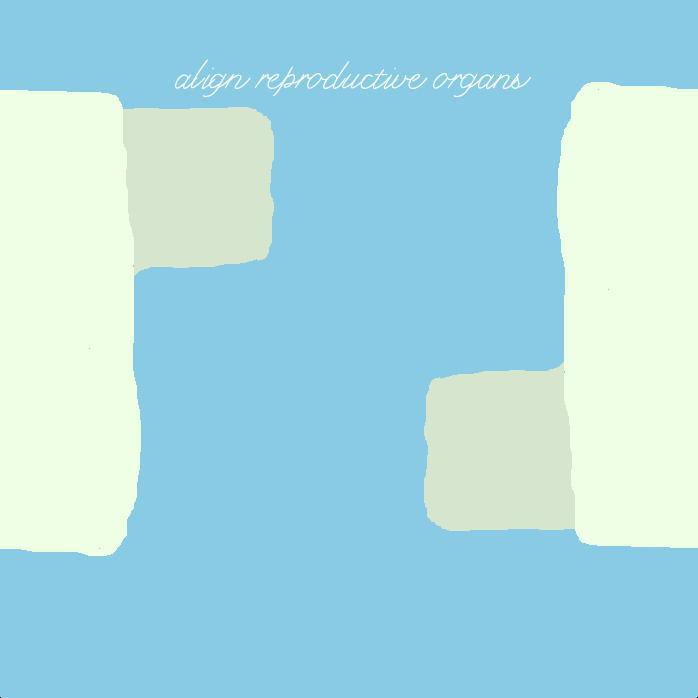 Snail Love (arthursheos)