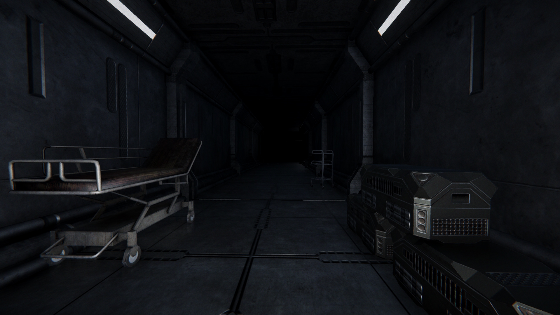 Image 3157007