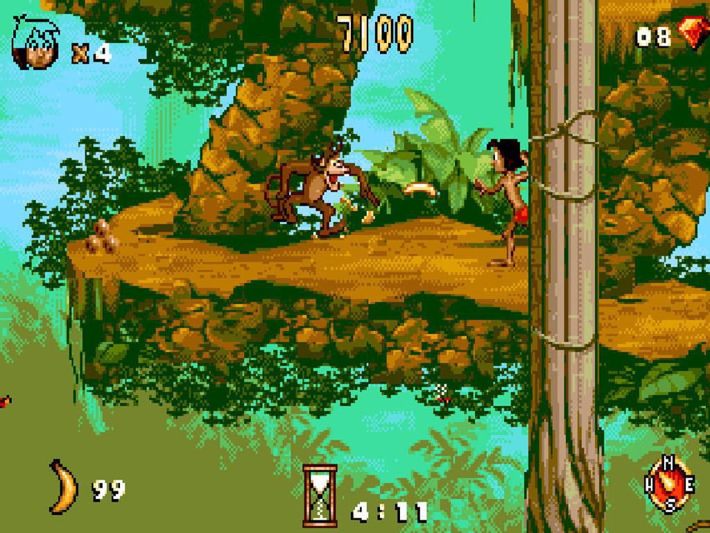 Sega jungle