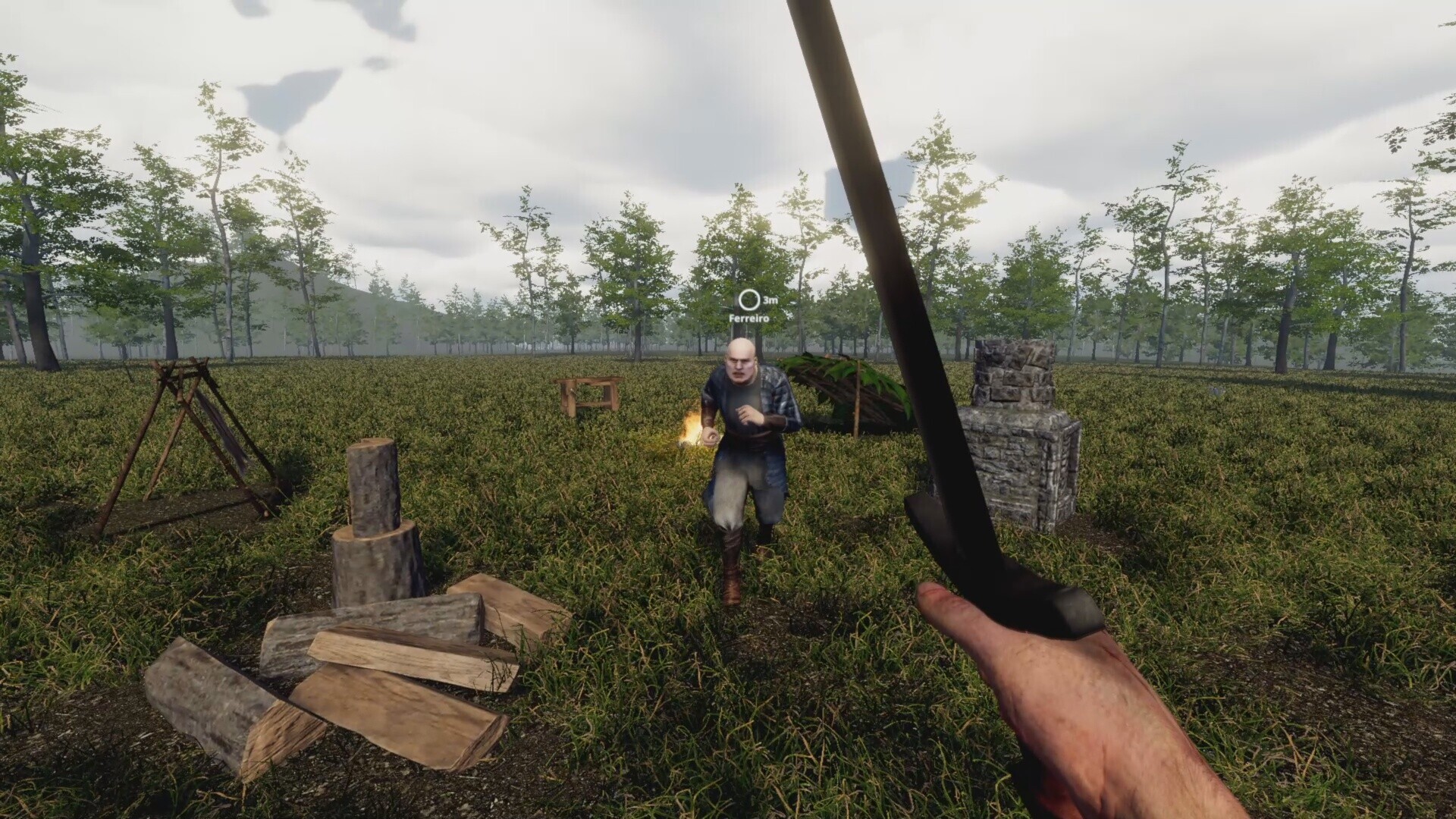 Image 4087374