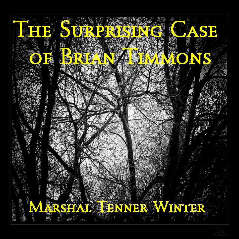 The Surprising Case of Brian Timmons