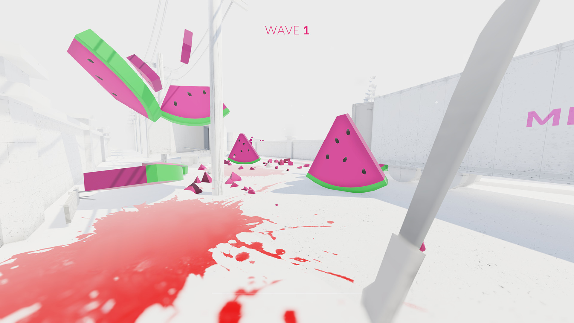 Melon Simulator
