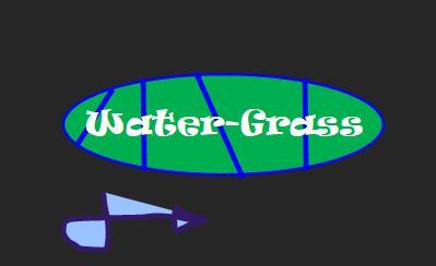 Water-Grass